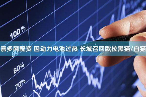 嘉多网配资 因动力电池过热 长城召回欧拉黑猫/白猫